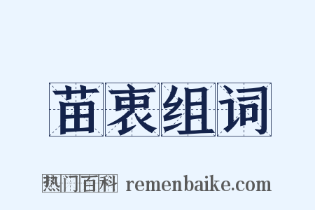 苗衷组词是什么意思的图片